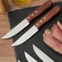 L90840-SETX6-CUCHILLO-STAKE---04